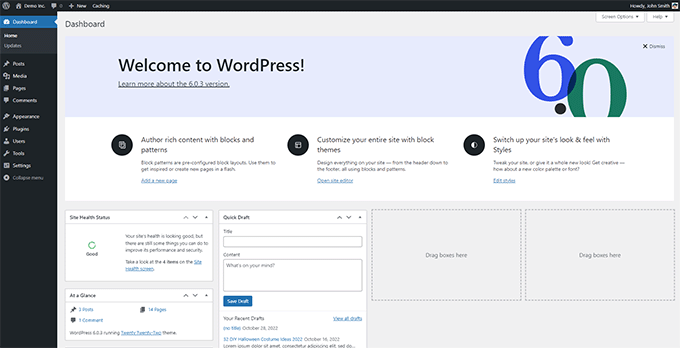 WordPress admin area