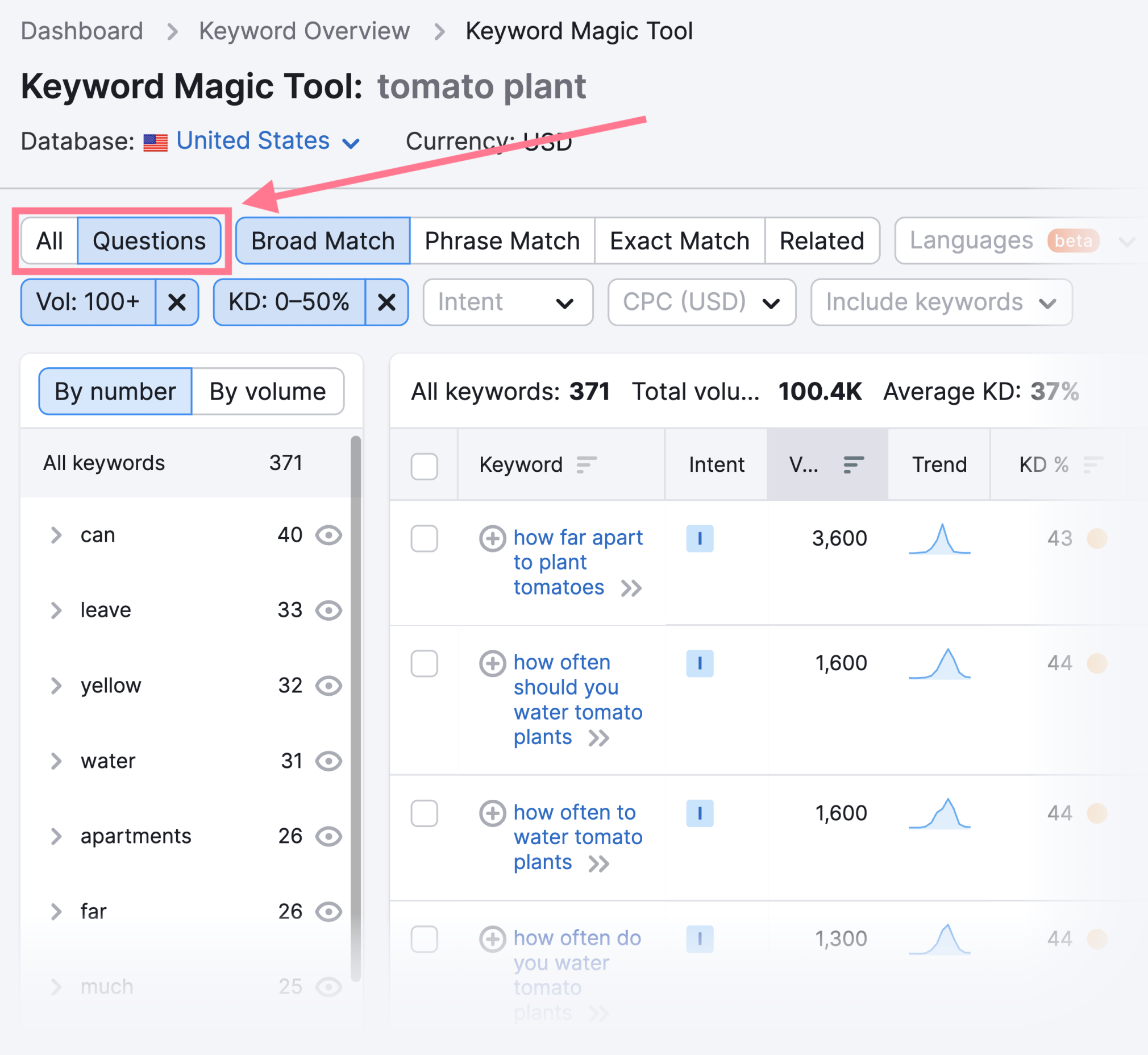 keyword magic tool question filter