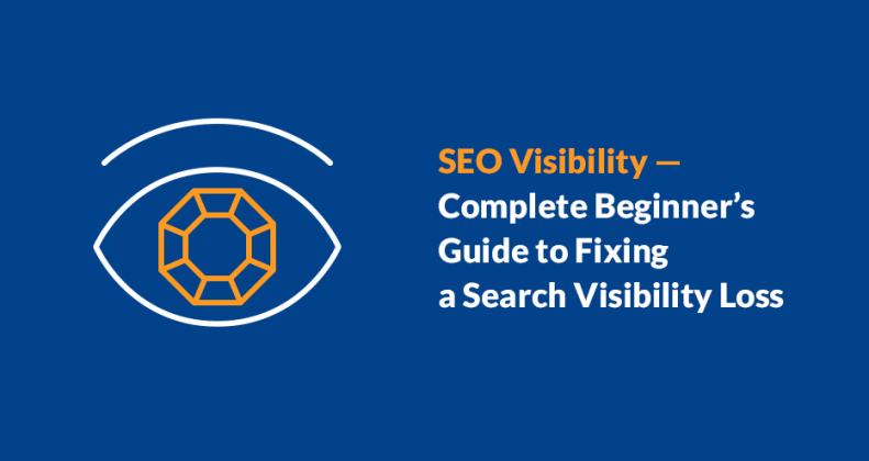 SEO Visibility - The Complete Guide to Fixing a Search Visibility Loss
