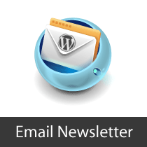 What, Why, and How-To's of Email Newsletter for your WordPress Blog