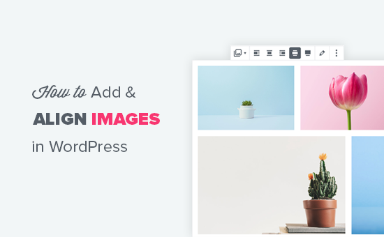 Adding and properly aligning images in WordPress