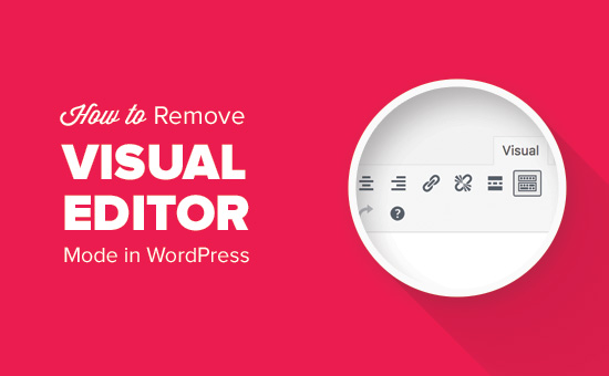 How to remove visual editor mode in WordPress