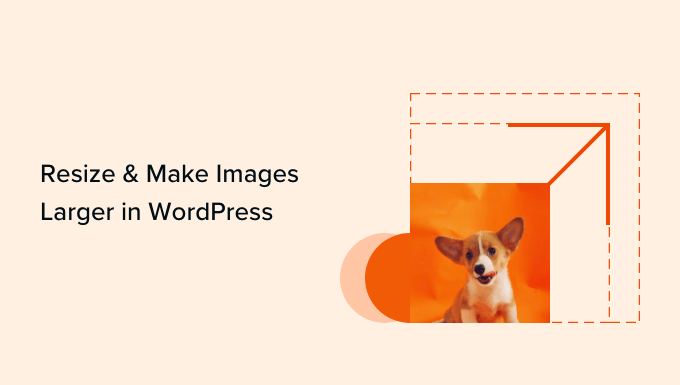 Resize make images larger in WordPress